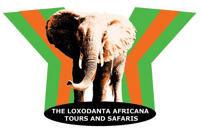 Loxodanta Tours