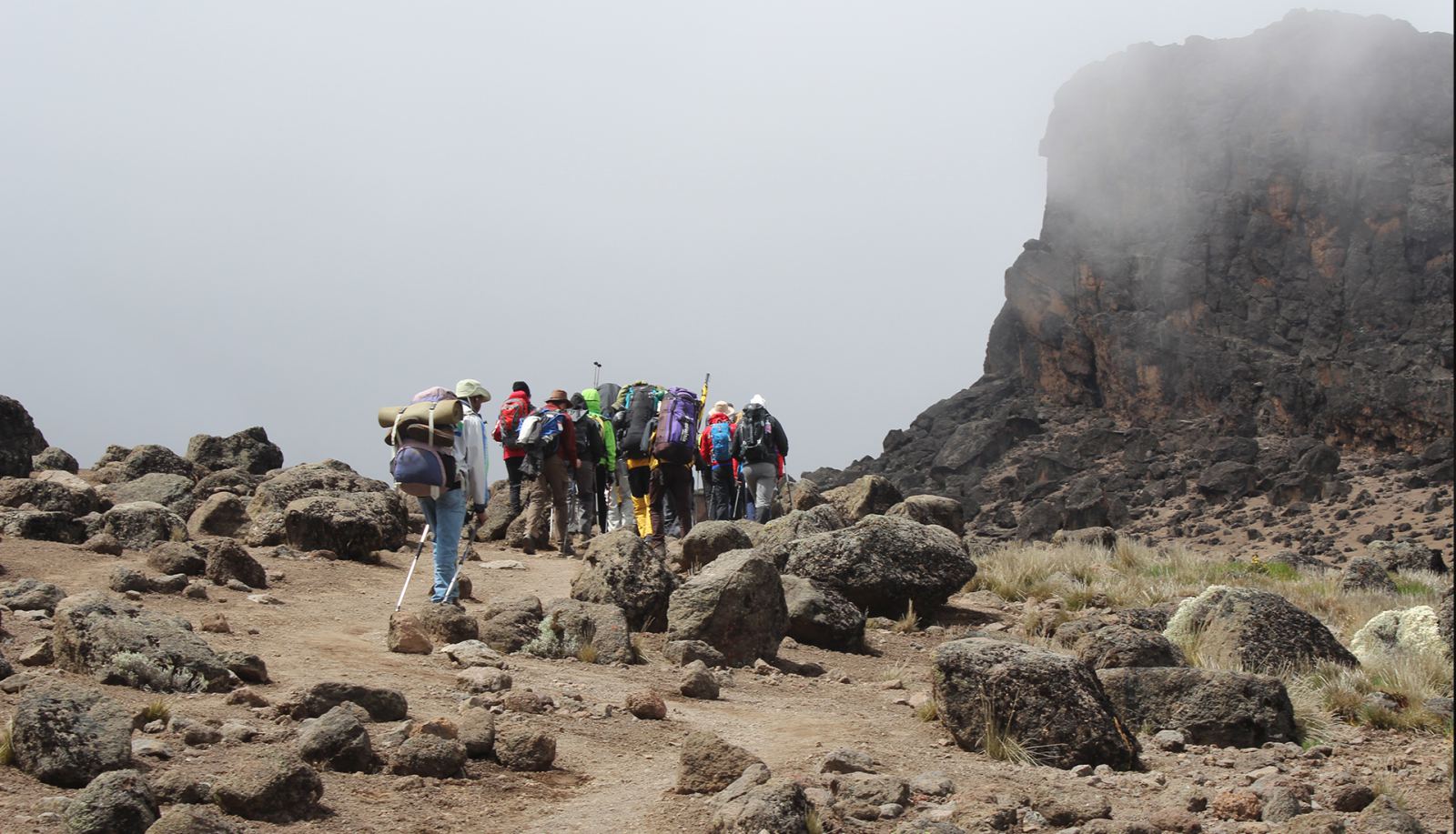 Lemosho Route — 8 Days