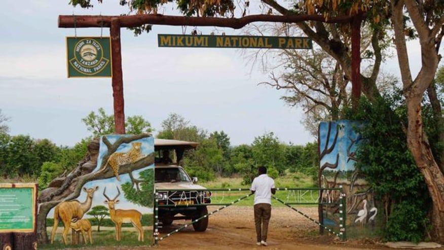 MIKUMI NATIONAL PARK 2 DAYS 1 NIGHT