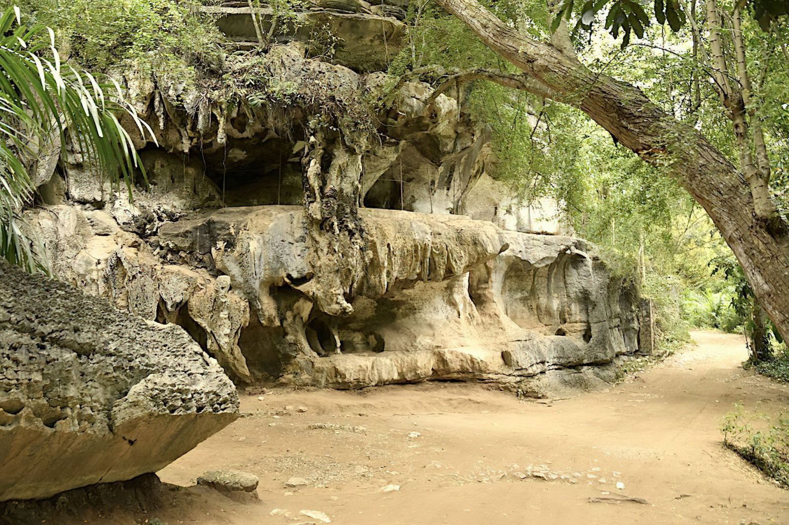 SAADANI NATIONAL PARK AND AMBONI CAVE  3 DAYS /2 NIGHTS
